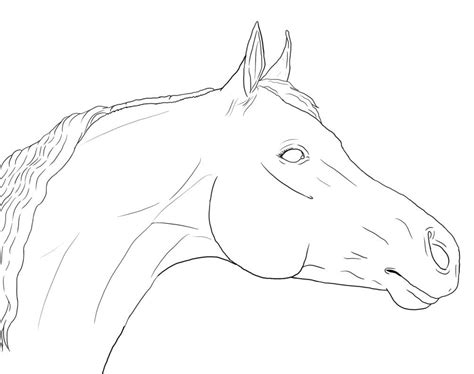 Horse Face S Coloring Pages