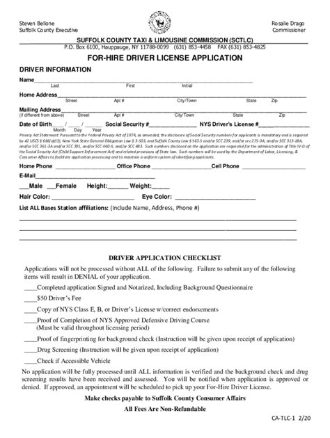 Suffolk County Executive Steve Bellone Names First Female Fill Out And Sign Printable Pdf