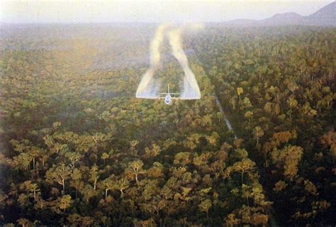 Agent Orange In Vietnam Famous Photo On This Day