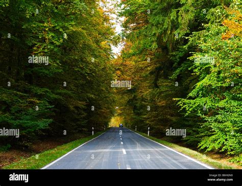 A Road Through An Autumn Forest Stock Photo Alamy