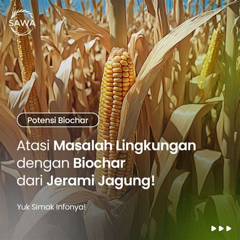 biochar jeramijagung lingkunganbersih sawa ecosolutions