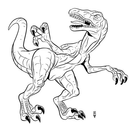 Raptor Clipart Black And White 10 Free Cliparts Download Images On