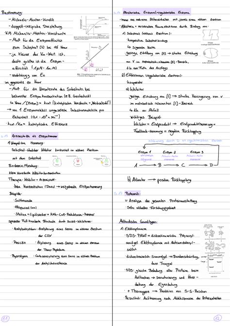 Biochemie I Grundlagen Der Biochemie Studocu