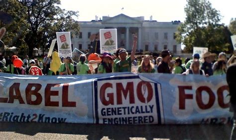 The House Has Passed A Bill That Bans Mandatory GMO Labeling