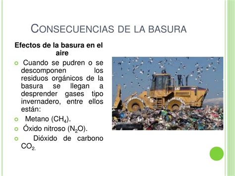 Ppt La Basura Powerpoint Presentation Free Download Id6243504