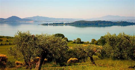 Parco Regionale Del Lago Trasimeno Il Turista Italia