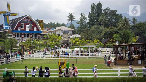 Daya Tarik Cimory Dairyland Farm Theme Park Puncak Tempat Wisata