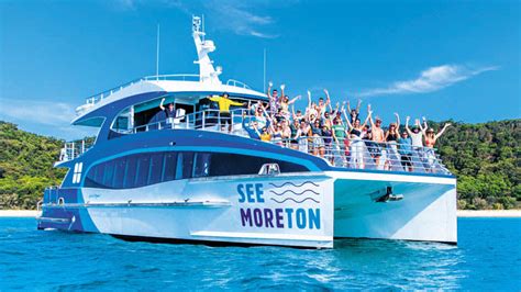 Dolphin Cruise With Tangalooma Wrecks Snorkel Tour With Transfers