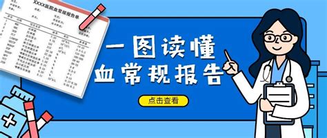 一图教你读懂→血常规血常规读懂项目检查空腹饮水疾病抽血事项指标 健康界