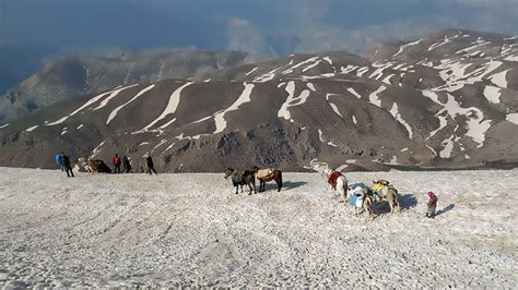 Migration with Iran Nomads, Iran tour and experience