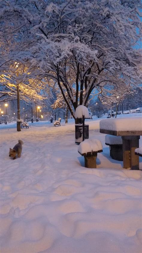 It got a bit snowy here in Kraków, Poland : r/PolandCentral