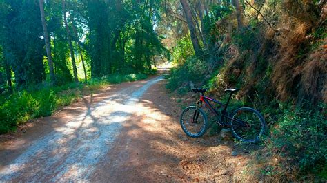 La foto del día en TodoMountainBike Parque Fluvial del Turia