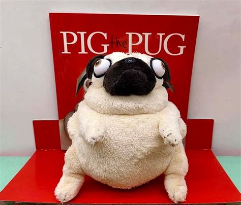 New Pig The Fibber Pug Aaron Blabey Book Mini Plush Soft Toy T