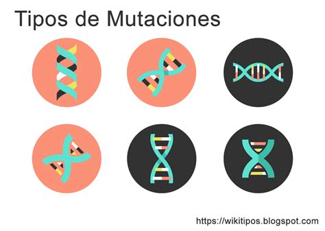 Tipos De Mutaciones Descubre Los 3 Tipos Principales