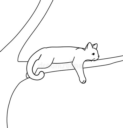 Katze Auf Einem Baum Karikatur Vektor Abbildung Illustration Von