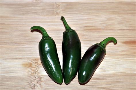 Three Green Jalapeno Peppers Free Stock Photo Public Domain Pictures