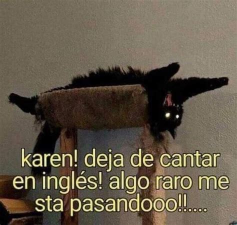 Memes De Karen Y El Gato Graciosos Para Compartir En Whatsapp Petlife