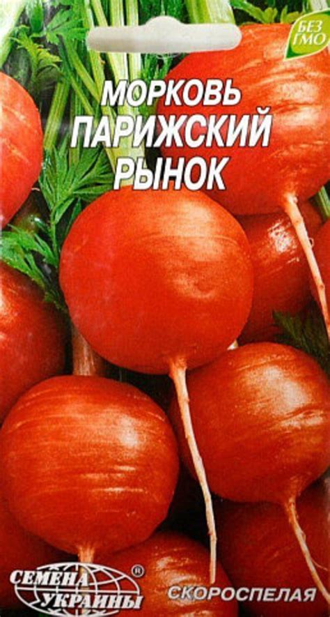 Rare Original Vegetable Seeds Carrot paris Market. - Etsy