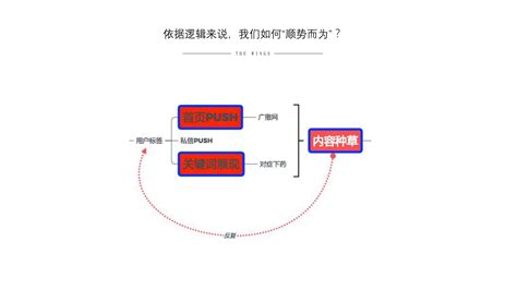 小红书营销的实用方式与方法（用实际引流案例来说） 电商运营 侠说·报告来了