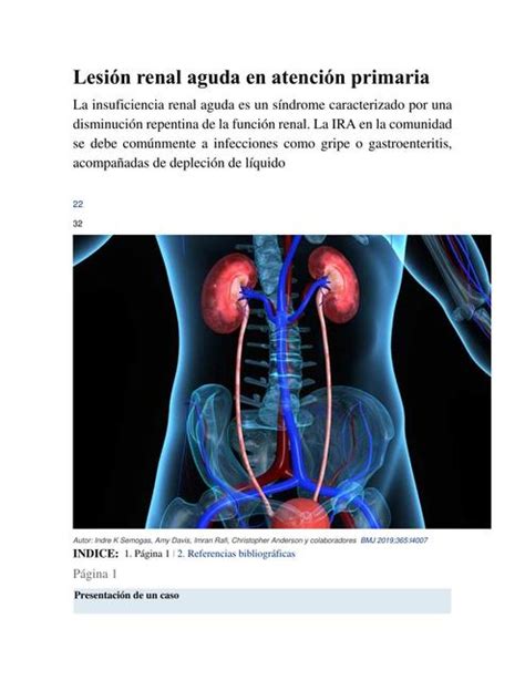 Lesi N Renal Aguda En Atenci N Primaria Gisler Herrera Udocz