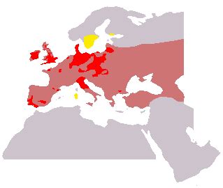 European Fallow Deer Megafauna Parks W Palearctic Inaturalist