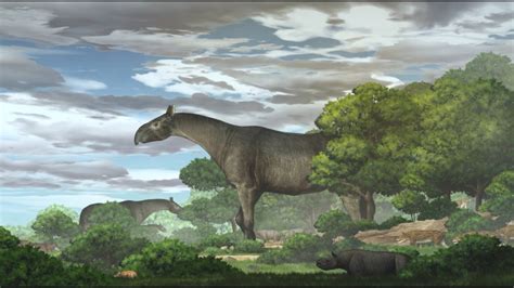 New fossils of giant rhinos — the largest land mammals ever — are found ...