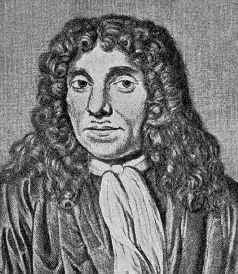 Antonie van Leeuwenhoek (Businessman and Scientist) ~ Bio with [ Photos | Videos ]