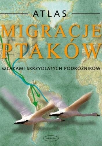 Migracje ptaków Atlas Szlakami skrzydlatych podróżników Chris Mead