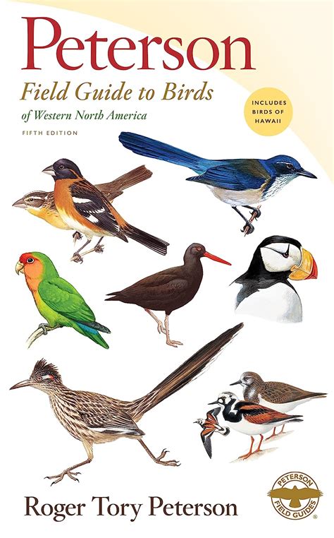 Amazon Peterson Field Guide To Birds Of Western North America Fifth