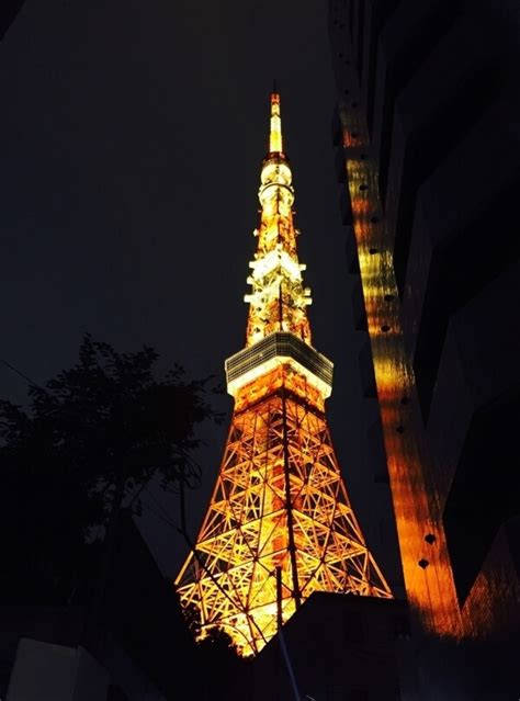 壁纸800x600东京夜景 日本东京铁塔 一 日本东京铁塔图片 Japan Travel Tokyo Tower Photos壁纸东京夜景