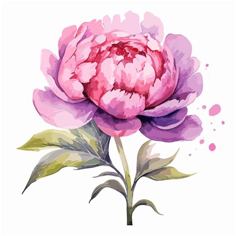 Willkommen Fr Hling Rosa Blume Aquarell Auf Wei Em Hintergrund