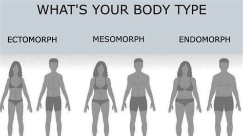 What Is An Endomorph Body Type? And Can An Endomorph Lose Weight? - 50 ...