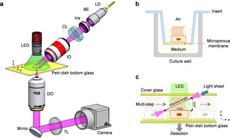 Schematic Diagram Of Inverted Light Sheet Laser Speckle Imaging System