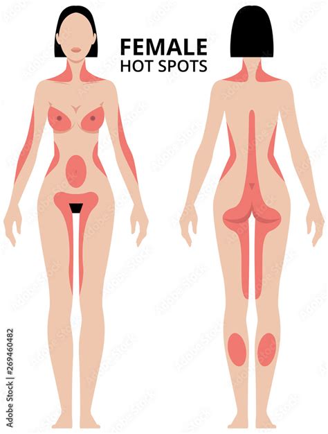 Vector Illustration Of Female Erogenous Zones Woman In Full Length