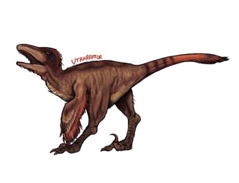 Utahraptor By Aredgul On Deviantart