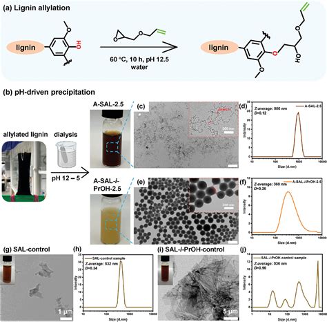 Evolution Of Selfassembled Lignin Nanostructure Into Dendritic Fiber