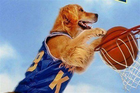 Air Bud - Cast, Ages, Trivia | Famous Birthdays