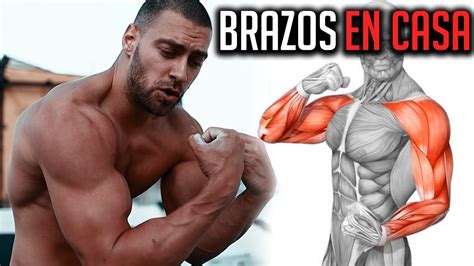 Ejercicios Para Brazos En Casa Biceps Triceps ¡no Mas Brazos Como Fideos Youtube