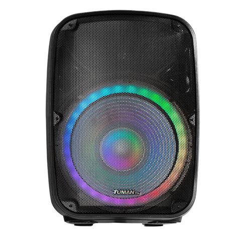 Professional W Power Dj Pa Bluetooth Speaker