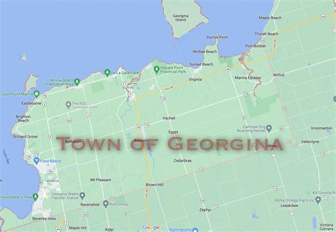 Georgina Pest Control And Extermination Services