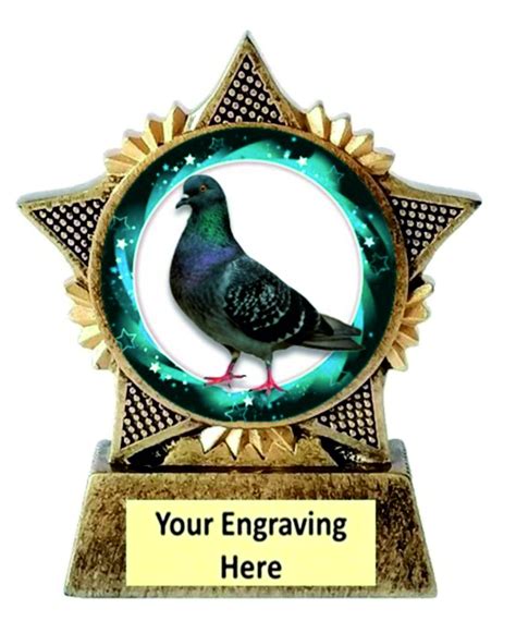 Pigeon Star Trophy Award 90mm Antique Gold Resin Trophy Showroom Buy