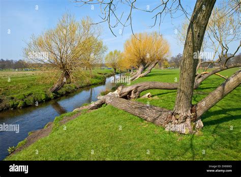 Beautiful Richmond Park in London Stock Photo - Alamy