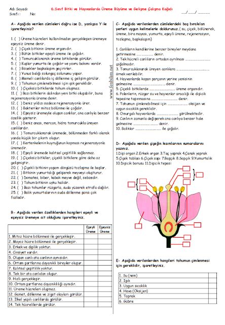 7 Sınıf Bitki ve Hayvanlarda Üreme Büyüme ve Gelişme Çalışma Kağıdı