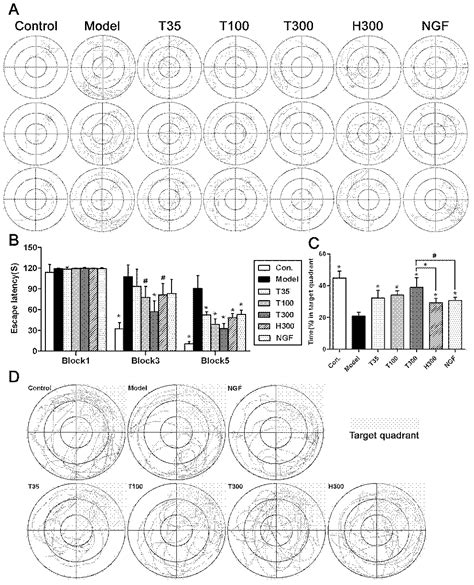 Novel Brain Targeting Preparation For Preventing And Treating