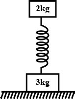 The Ends Of Spring Are Attached To Blocks Of Mass Kg And Kg The