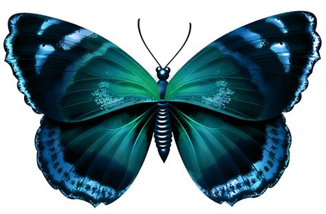 Blue Butterfly Png Transparent Image Png Arts Images And Photos Finder