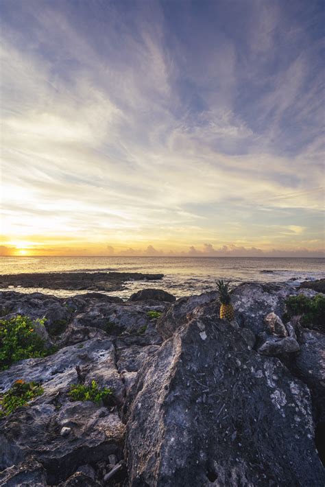 Kostenlose Foto Landschaft Meer K Ste Baum Natur Rock Ozean