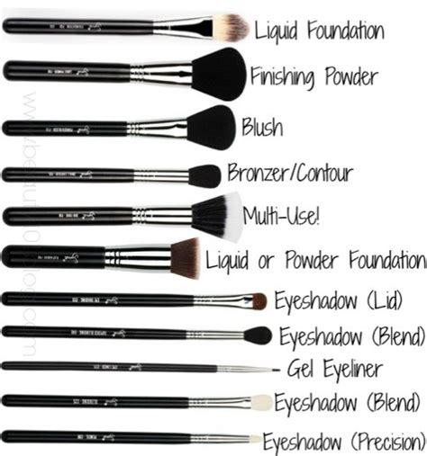 Different Types Of Makeup Brushes And Their Uses Trusper