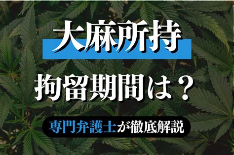 大麻所持の初犯の拘留期間は？釈放される？専門弁護士が解説｜春田法律事務所