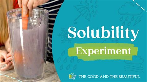 Solubility Experiment Water And Our World The Good And The